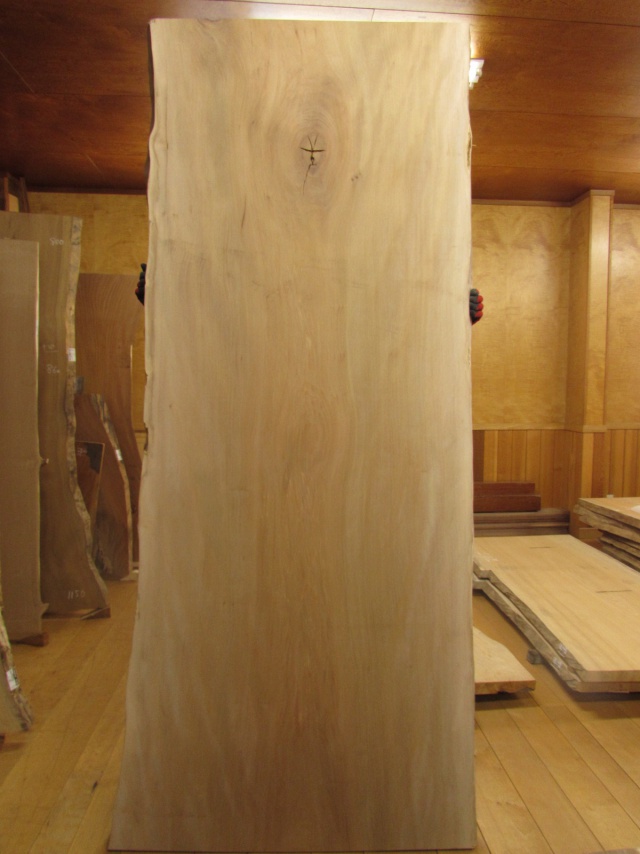 シカモア　一枚板