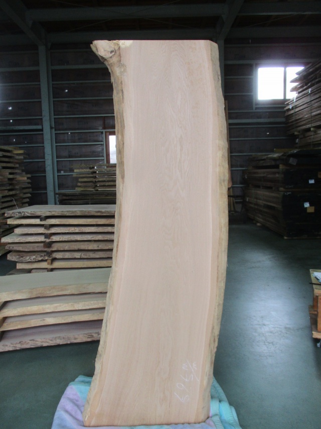 楢（ナラ）　一枚板