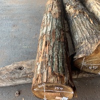 栗（クリ）丸太　器・食器など