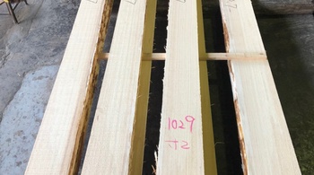 杉（スギ）｜無垢材・一枚板天板在庫情報 | 高田製材所