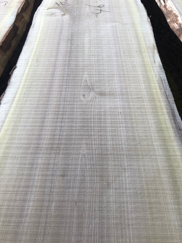 朴（ホオ）　無垢材