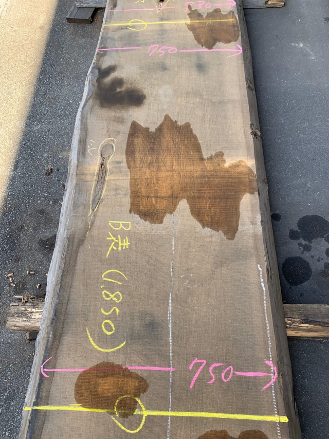 米檜葉（ベイヒバ）　一枚板