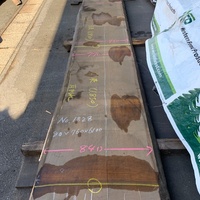 米檜葉（ベイヒバ）　テーブル一枚板