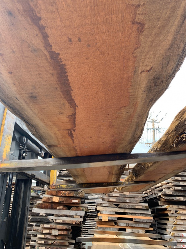 カロフィルム　無垢材