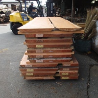 カロフィルム　保育園の敷居材として