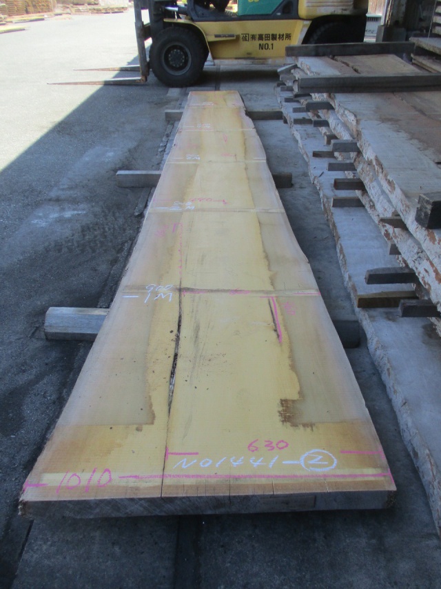 米檜葉（ベイヒバ）　一枚板