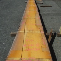 米檜葉（ベイヒバ）　破風板