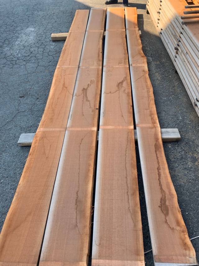 バーケラ　無垢材