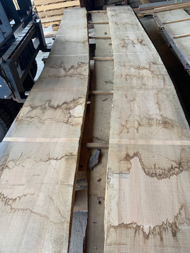 目白樺（メジロカバ）　無垢材