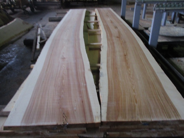 目白樺（メジロカバ）　無垢材