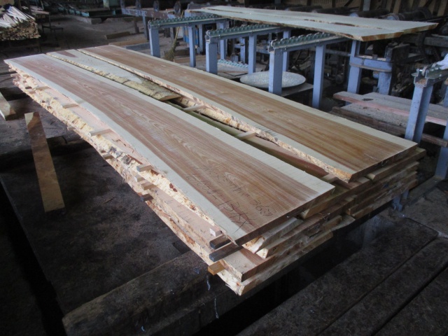 目白樺（メジロカバ）　無垢材