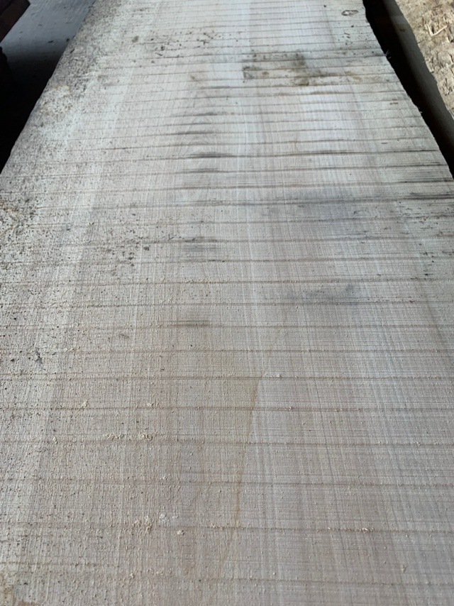 目白樺（メジロカバ）　無垢材