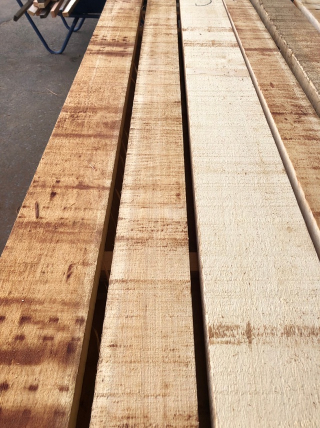 米檜葉（ベイヒバ）　無垢材