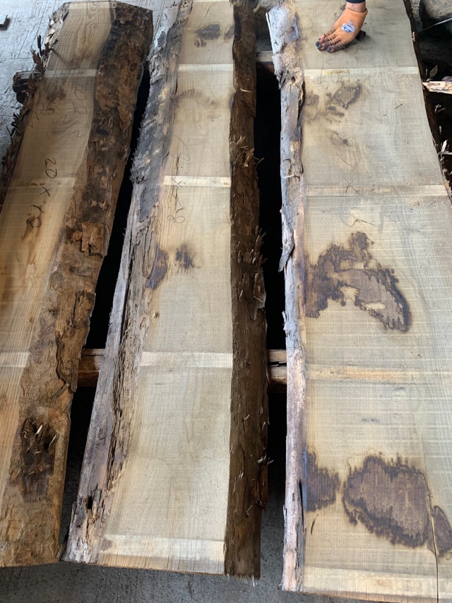 栗（クリ）　無垢材