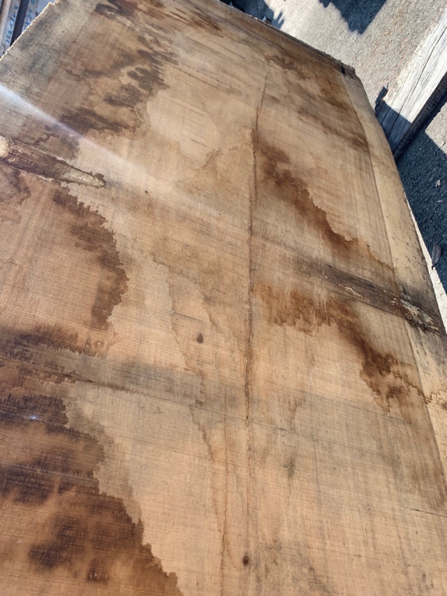 モンキーポッド　一枚板