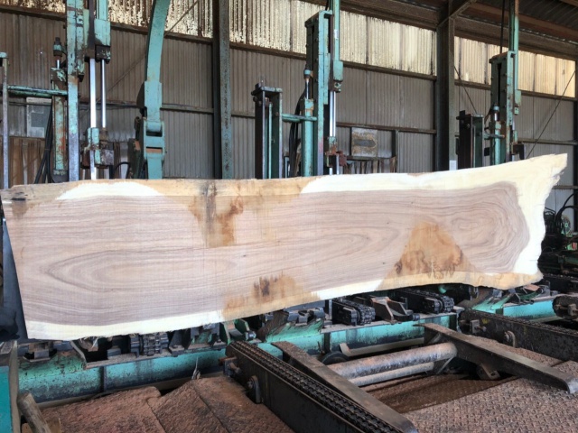 モンキーポッド　一枚板