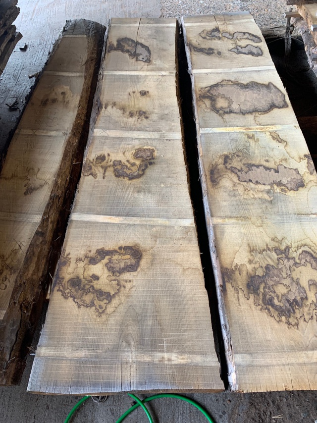 栗（クリ）　無垢材