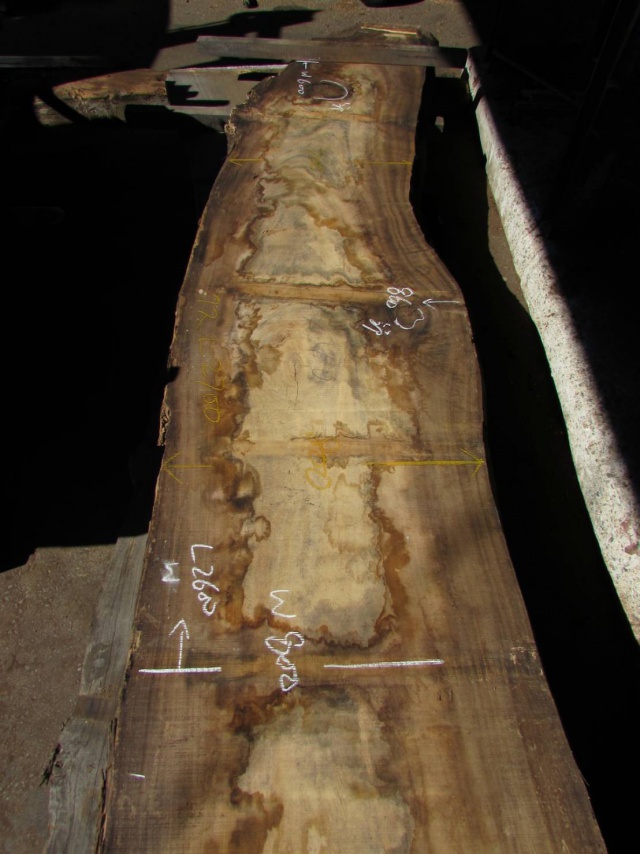 楠（クス）　一枚板