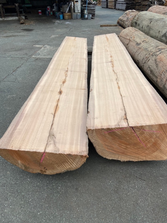 レッドメランティ　無垢材