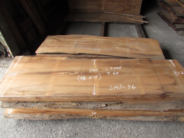 屋久杉（ヤクスギ）　一枚板