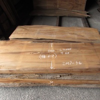 屋久杉（ヤクスギ）　看板