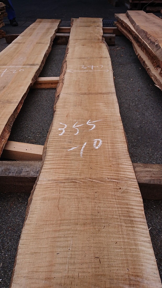 カーリーメープル　無垢材