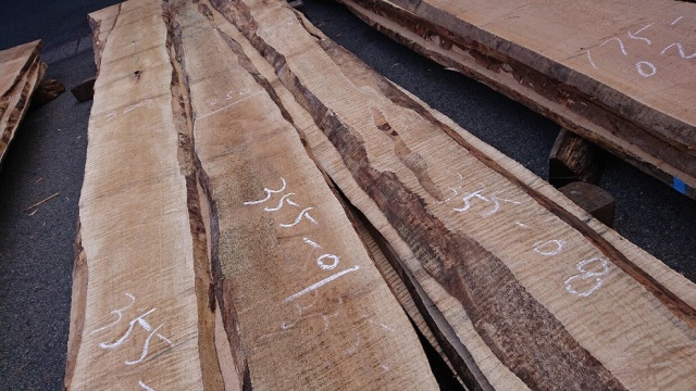 カーリーメープル　無垢材