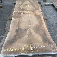 ウォールナット　展示用