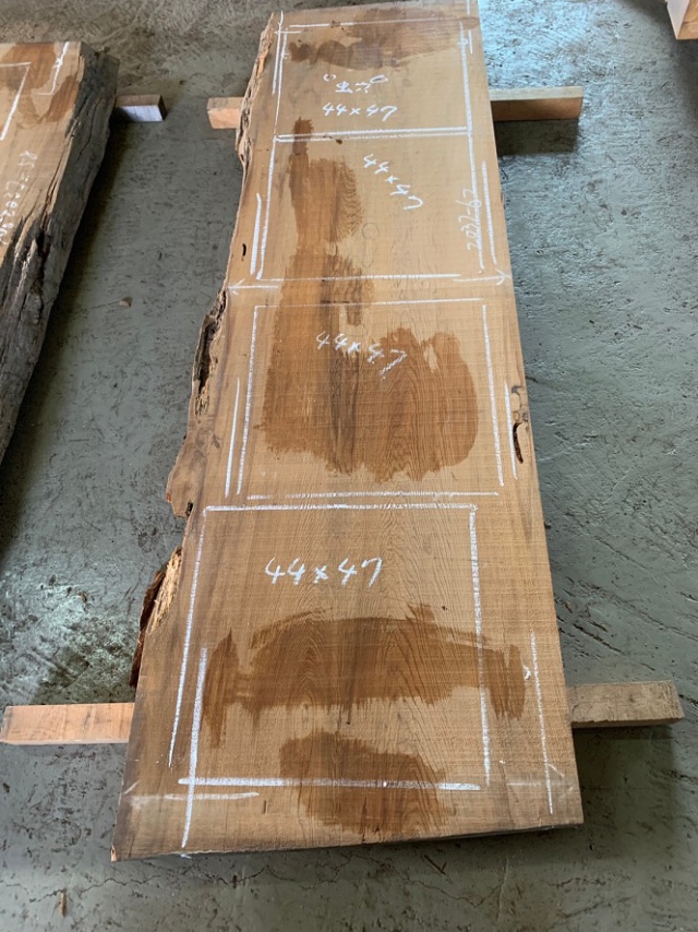 屋久杉（ヤクスギ）一枚板