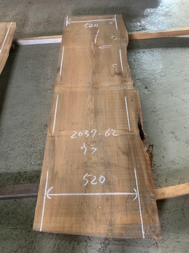 屋久杉（ヤクスギ）一枚板