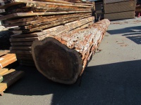 杉（スギ）　原木