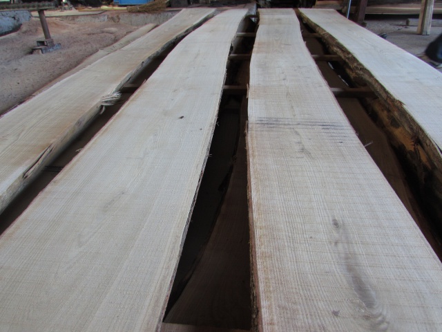 栗（クリ）　無垢材