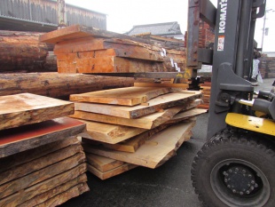 栃（トチ）一枚板