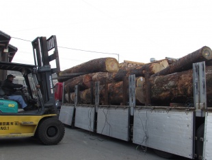 原木入荷