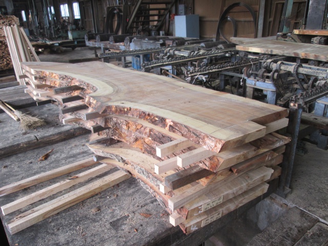 楠（クス）　一枚板