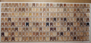 森の文庫本　無垢材