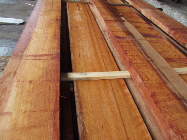 米杉（ベイスギ）　無垢材