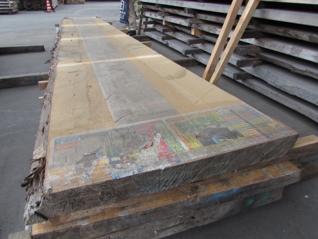 米檜葉（ベイヒバ）　一枚板