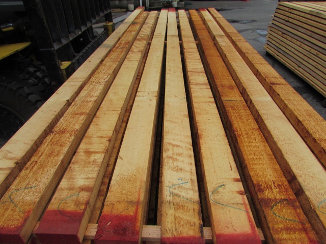 米檜葉（ベイヒバ）　無垢材