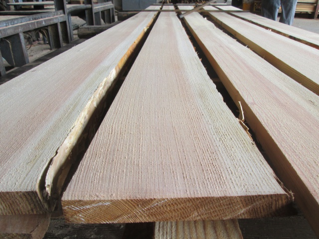 杉（スギ）　無垢材