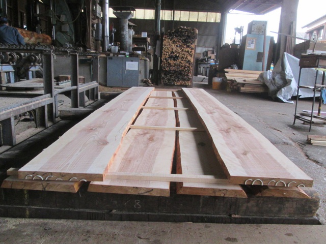 目白樺（メジロカバ）　無垢材