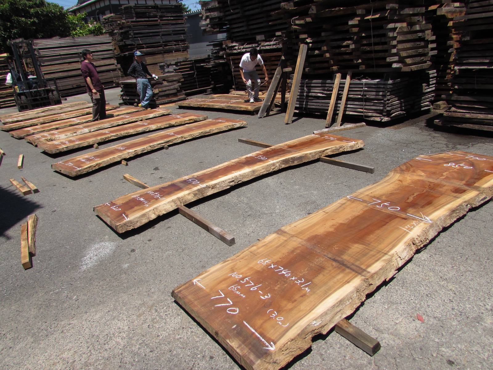 モンキーポッド　一枚板