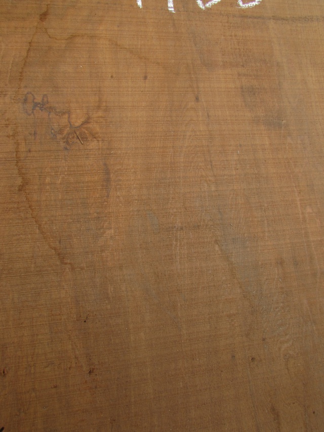 屋久杉（ヤクスギ）　一枚板