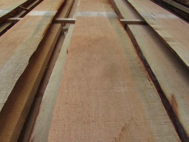 米松（ベイマツ）　無垢材