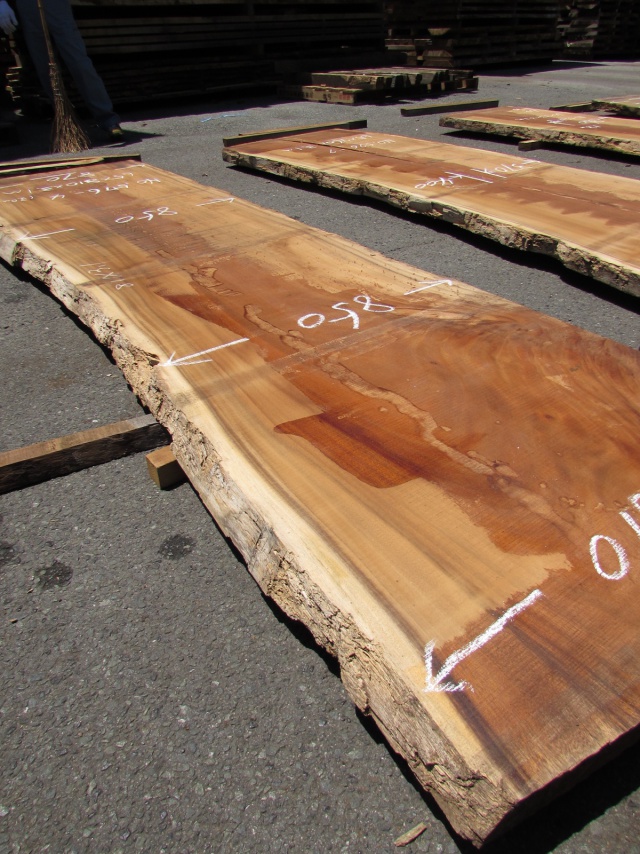 モンキーポッド　一枚板