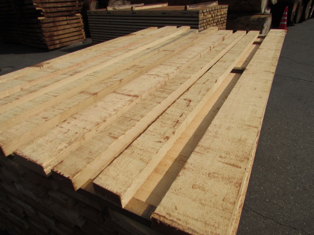 米檜葉（ベイヒバ）　無垢材