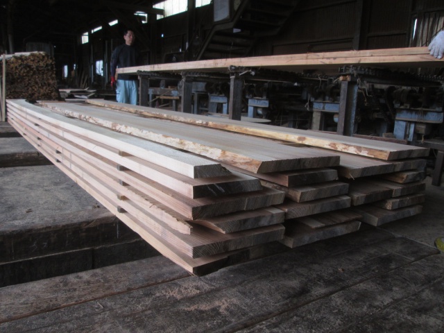 杉（スギ）　無垢材