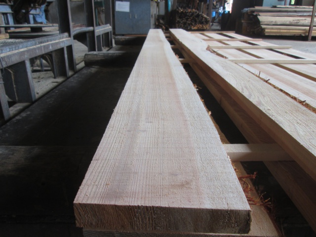 杉（スギ）　無垢材