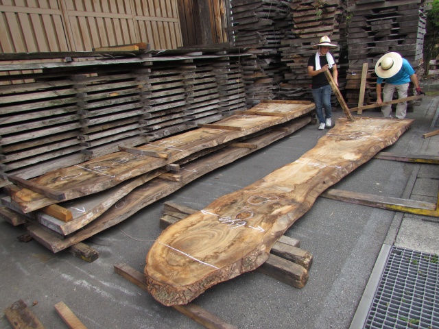 楠（クス）　一枚板