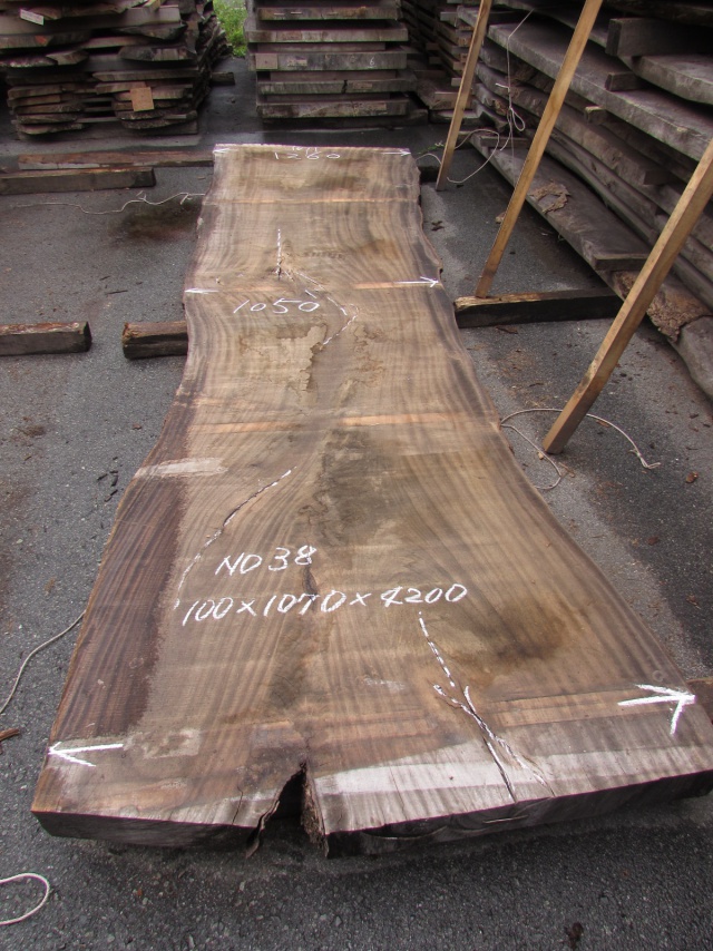 楠（クス）　一枚板